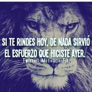 Meet your Posher, Fernanda